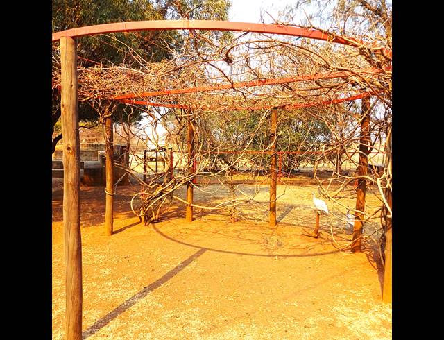 8.50HA FARM FOR SALE IN CHRISSIEFONTEIN